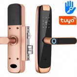 Inteligentní Tuya dveřní zámek s klikou | Zoneway iLock03