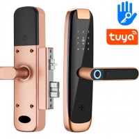 Inteligentní Tuya dveřní zámek s klikou | Zoneway iLock03 Inteligentní Tuya dveřní zámek s klikou | Zoneway iLock03