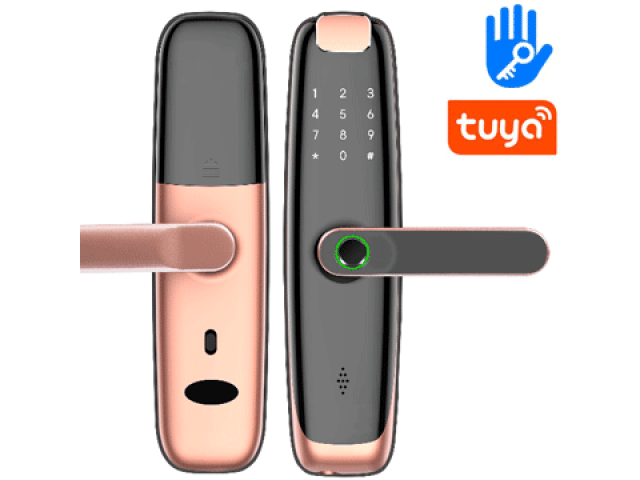 Chytrý TUYA MIFARE Bluetooth zámek s otiskem prstu | ZONEWAY iLock02